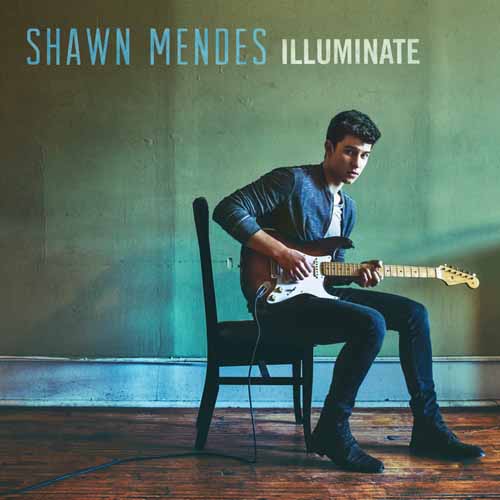 Easily Download Shawn Mendes Printable PDF piano music notes, guitar tabs for Piano, Vocal & Guitar Chords (Right-Hand Melody). Transpose or transcribe this score in no time - Learn how to play song progression.