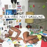 Sia 'Fire Meet Gasoline'