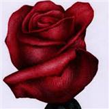 Simon Carrington 'O My Love Is Like A Red, Red Rose'