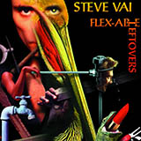 Steve Vai 'Details At Ten'