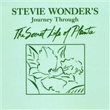 Stevie Wonder 'Power Flower'