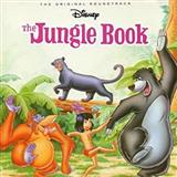 Terry Gilkyson 'The Bare Necessities (from Disney's The Jungle Book) (arr. Nicholas Hare)'