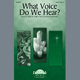 Terry W. York and David Schwoebel 'What Voice Do We Hear?'
