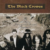 The Black Crowes 'Sometimes Salvation'