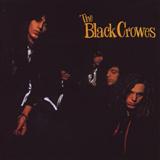 The Black Crowes 'Twice As Hard'