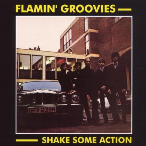 Easily Download The Flamin' Groovies Printable PDF piano music notes, guitar tabs for Guitar Chords/Lyrics. Transpose or transcribe this score in no time - Learn how to play song progression.