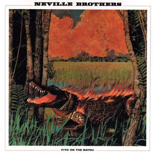 Easily Download The Neville Brothers Printable PDF piano music notes, guitar tabs for Piano, Vocal & Guitar Chords (Right-Hand Melody). Transpose or transcribe this score in no time - Learn how to play song progression.