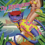 The Rippingtons 'Caribbean Breeze'