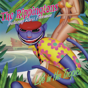 Easily Download The Rippingtons Printable PDF piano music notes, guitar tabs for Solo Guitar. Transpose or transcribe this score in no time - Learn how to play song progression.