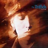 The Triffids 'Bury Me Deep In Love'