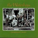 The Waterboys 'Fisherman's Blues'