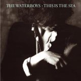 The Waterboys 'The Whole Of The Moon'
