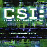 The Who 'Who Are You (from CSI: Crime Scene Investigation)'