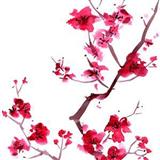 Trad. Japanese Folk Song 'Sakura (Cherry Blossoms)'