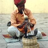 Traditional Indian 'Snake Charmer'