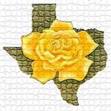 Traditional 'The Yellow Rose Of Texas'