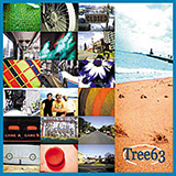 Tree63 'Treasure'