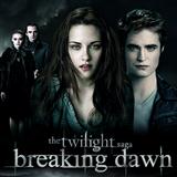 Twilight: Breaking Dawn (Movie) 'Northern Lights'