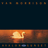 Van Morrison 'Orangefield'