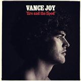 Vance Joy 'Fire And The Flood'