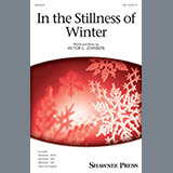 Victor C. Johnson 'In The Stillness Of Winter'