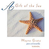 Wayne Gratz 'Steps In The Sand'