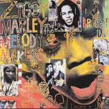 Ziggy Marley 'Black My Story (Not History)'